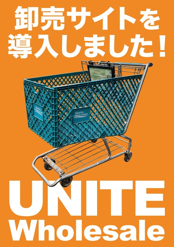 Unite-wholesale1-724x1024 (1)